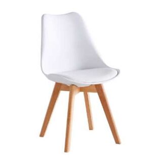 Padded White Hard Plastic Chair