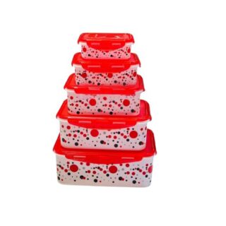 Red 5 Piece Lunch Box Set